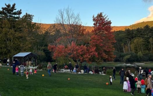 Pumpkin Walk